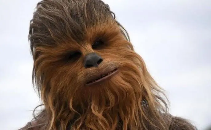 Chewbacca está inspirado en el perro de George Lucas, un enorme Alaskan Malamute de 60 kilos.