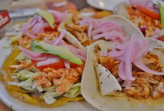 Al menos 500 personas intoxicadas por comer tacos de cochinita pibil con clembuterol en Yucatán Al menos 500 personas intoxicadas por comer tacos de cochinita pibil con clembuterol en Yucatán
