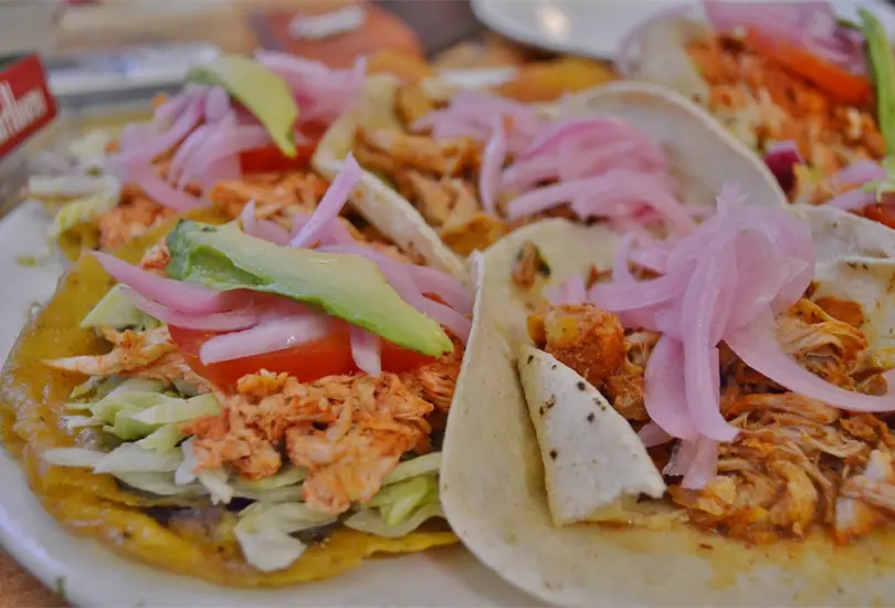 Al menos 500 personas intoxicadas por comer tacos de cochinita pibil con clembuterol en Yucat&aacute;n
