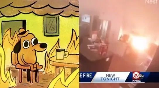 &iquest;Quer&iacute;a cocinar? Perro se mete a jugar a la cocina y provoca incendio por accidente | VIDEO