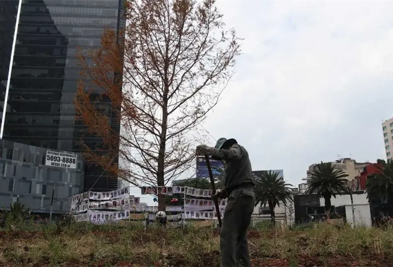 El ahuehuete tiene 20 a&ntilde;os de edad y mide aproximadamente 12 metros de altura.