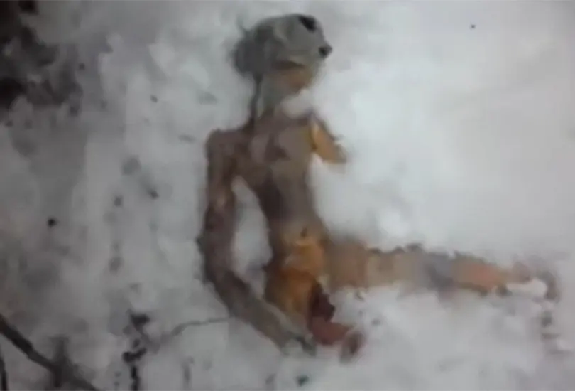 Circula en TikTok un video en el que se afirma que en Rusia cayeron seres de otro planeta, por lo que hay miles de esas criaturas rondando por el pa&iacute;s euroasi&aacute;tico 