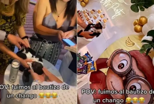 Bautizan mono bebé y le hacen fiesta temática de Jorge el Curioso | VIRAL Bautizan mono bebé y le hacen fiesta temática de Jorge el Curioso | VIRAL