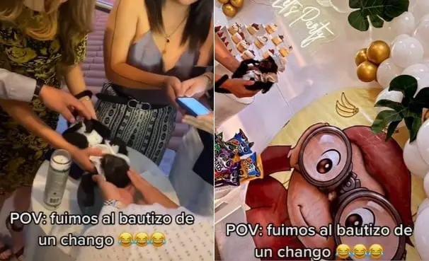 Bautizan mono beb&eacute; y le hacen fiesta tem&aacute;tica de Jorge el Curioso | VIRAL
