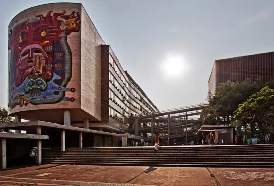 A través de un comunicado, la UNAM confirmó que un alumno se arrojó de un edificio de la Facultad de Medicina