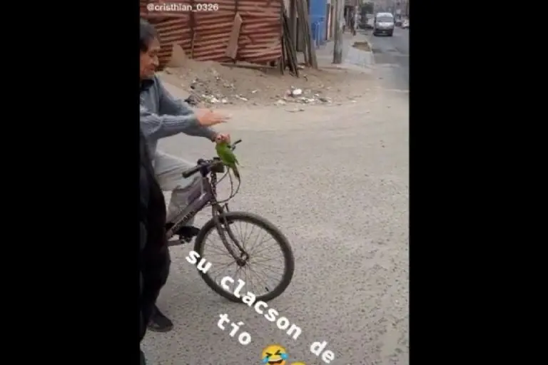 Abuelito con loro en bicicleta - Captura de pantalla