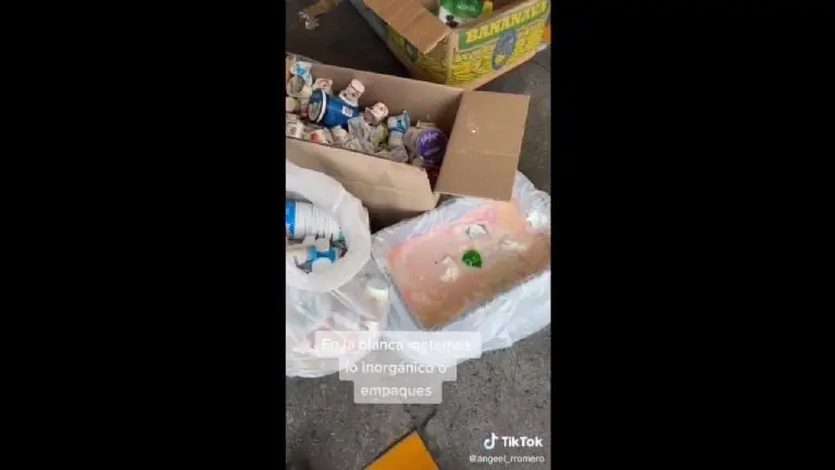 También se tira la comida - Captura de pantalla