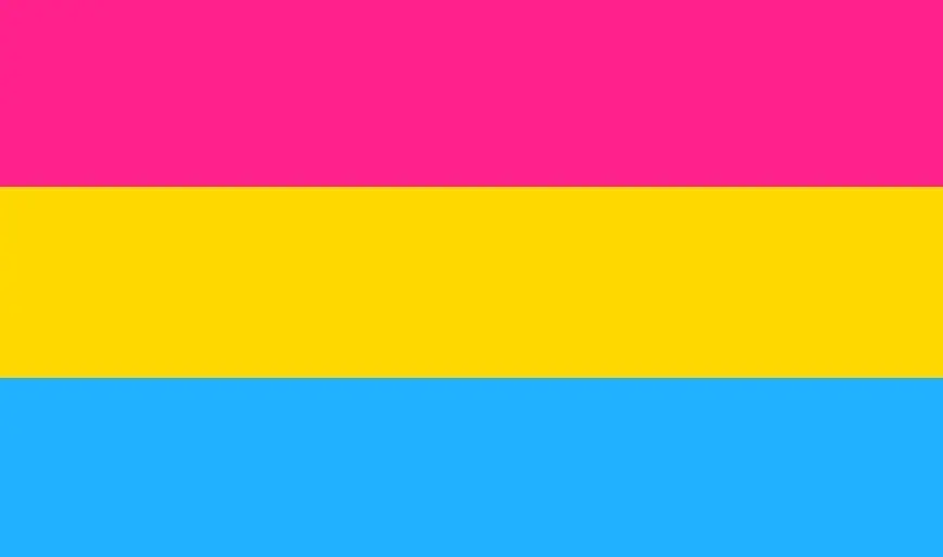  El t&eacute;rmino pansexualidad proviene del prefijo griego 'pan', que significa 'todo', por lo que alguien pansexual siente atracci&oacute;n sexual o emocional hacia otra persona, sin importar su sexo o identidad de g&eacute;nero.