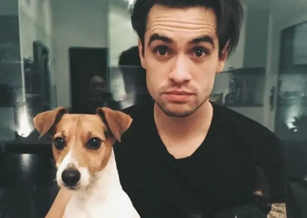 Brendon Urie