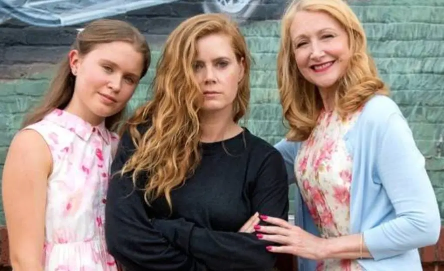 Este thriller cuenta la historia de una periodista que vuelve a su su pueblo natal para investigar el asesinato de dos chicas.