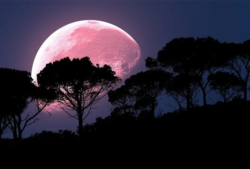 Ser&aacute; visible en M&eacute;xico la Superluna de fresa 2022: &iquest;Cu&aacute;ndo y d&oacute;nde verla?