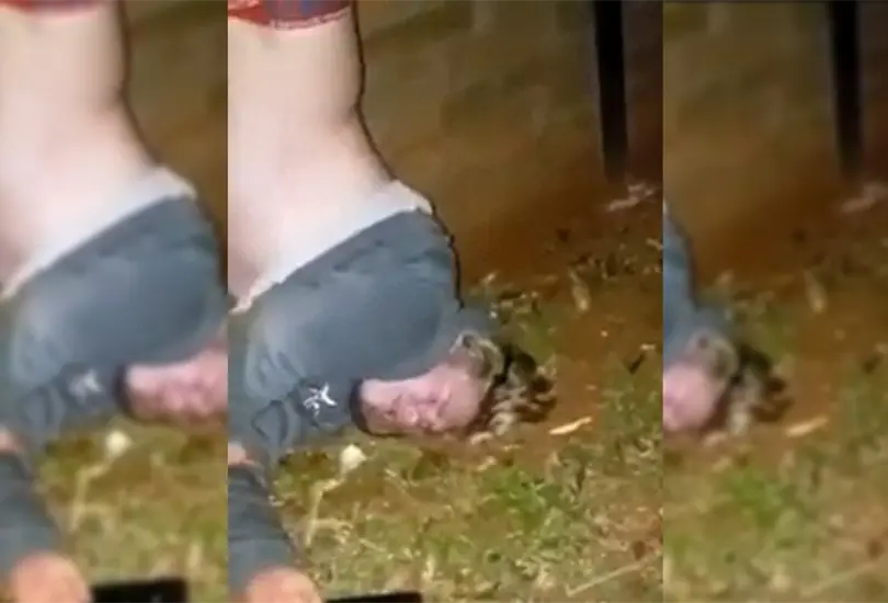 Ladr&oacute;n borracho roba casa y queda colgado de una reja en su intento de escape | VIDEO