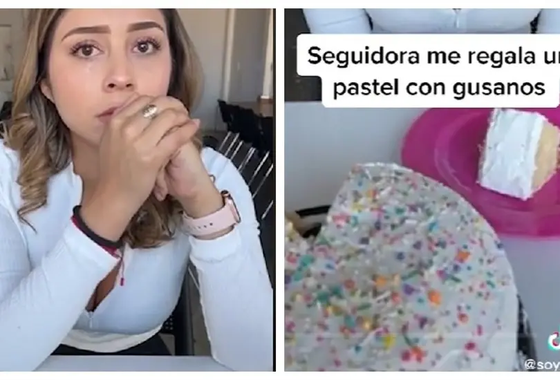 Seguidora regala pastel con gusanos a influencer Seguidora regala pastel con gusanos a influencer