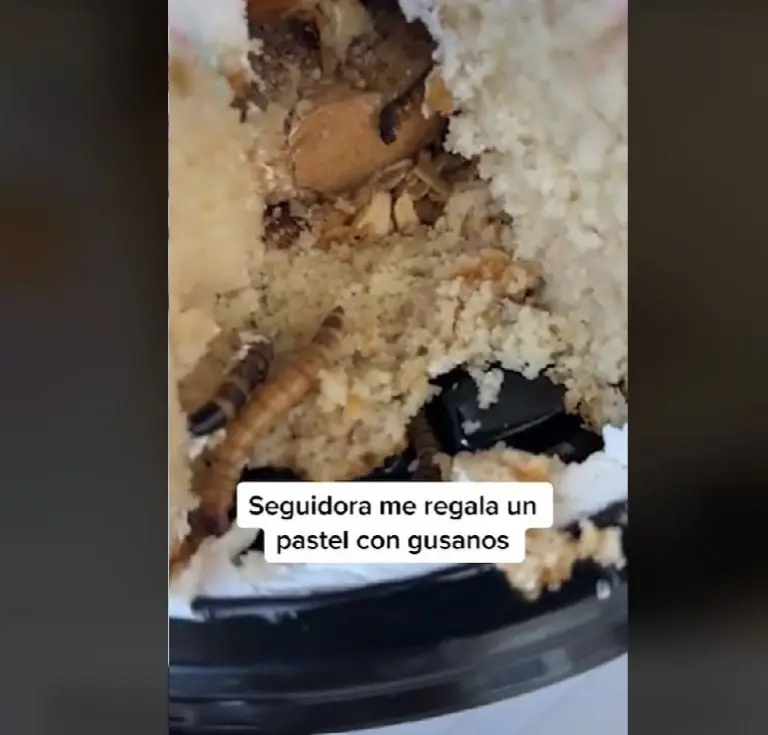 Seguidora regala un pastel con gusanos a influencer (TikTok)