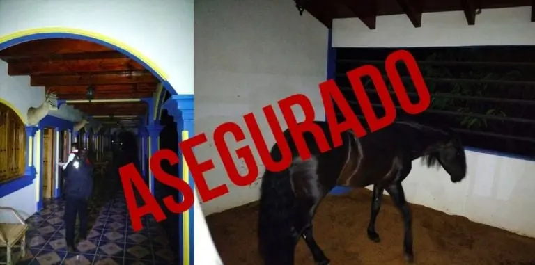 Foto: Twitter/@FiscaliaEdomex