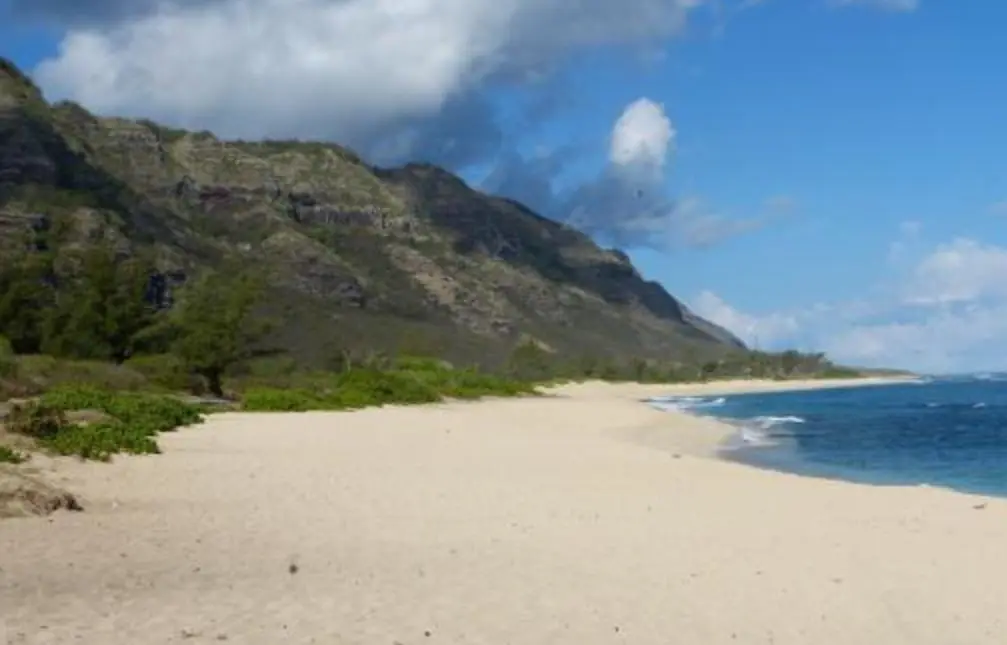 La playa donde se rod&oacute; se llama Police y se encuentra en la isla Oahu en Haw&aacute;i.