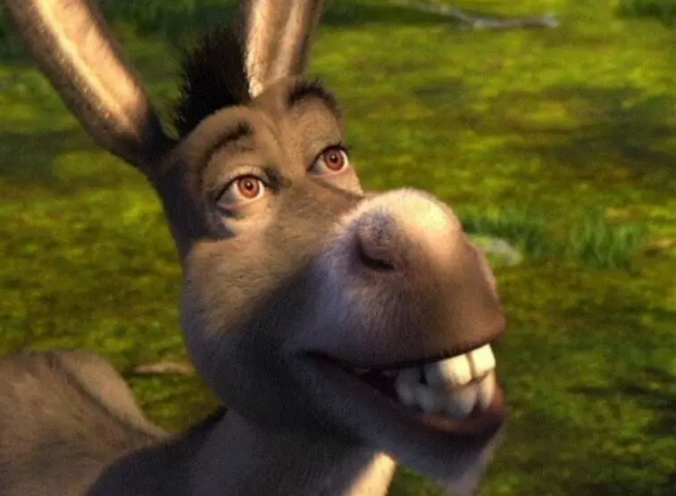 "Nos desvelaremos contando historias macabras de humanos y en la mañana... Yo preparo los tamales".