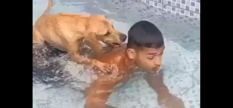 El perrito no dejó que su amo se levantara. Foto: especial.