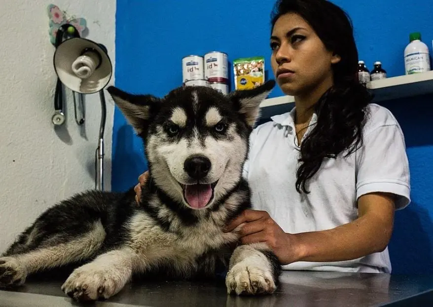 Economistas, asesores, expertos en seguridad e higiene, antrop&oacute;logos, veterinarios de alta gama, productores agropecuarios, periodistas de investigaci&oacute;n social, traumat&oacute;logos y personal de emergencias.