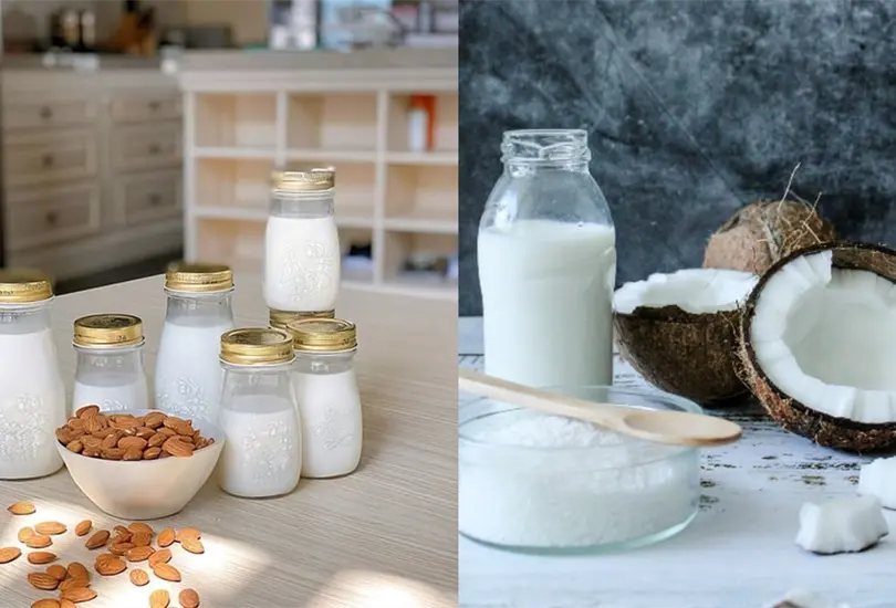 &iquest;De qu&eacute; est&aacute;n hechas las leches de almendra y de coco?