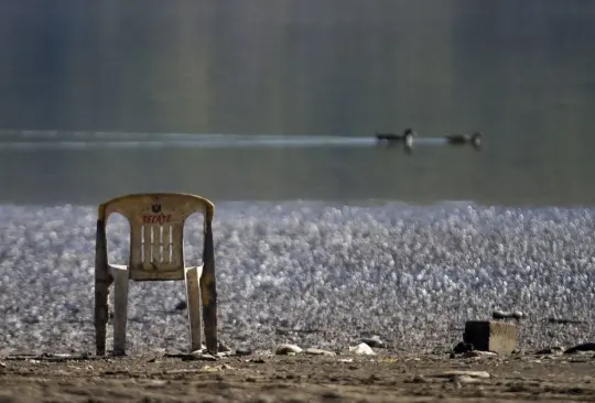 La Arquidiócesis Primada de México señaló que ante la crisis de agua, lo pobres son quienes resultan más afectados