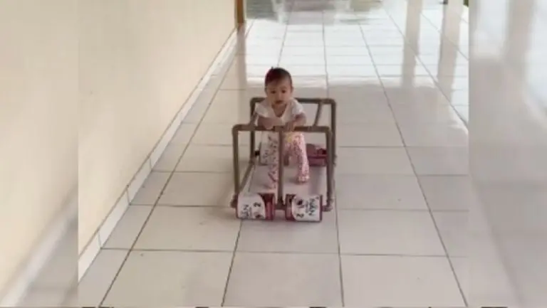 El invento del padre fue usado con total diversión por su pequeña cría. Foto: Tiktok.