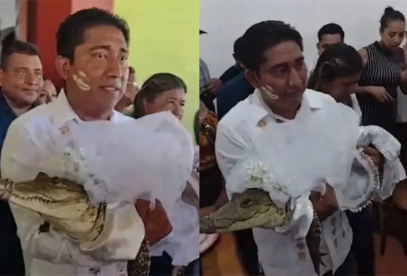 El alcalde V&iacute;ctor Hugo Sosa Garc&iacute;a acept&oacute; casarse con un lagarto en cumplimiento de una tradici&oacute;n que se lleva a cabo desde hace 230 a&ntilde;os. 