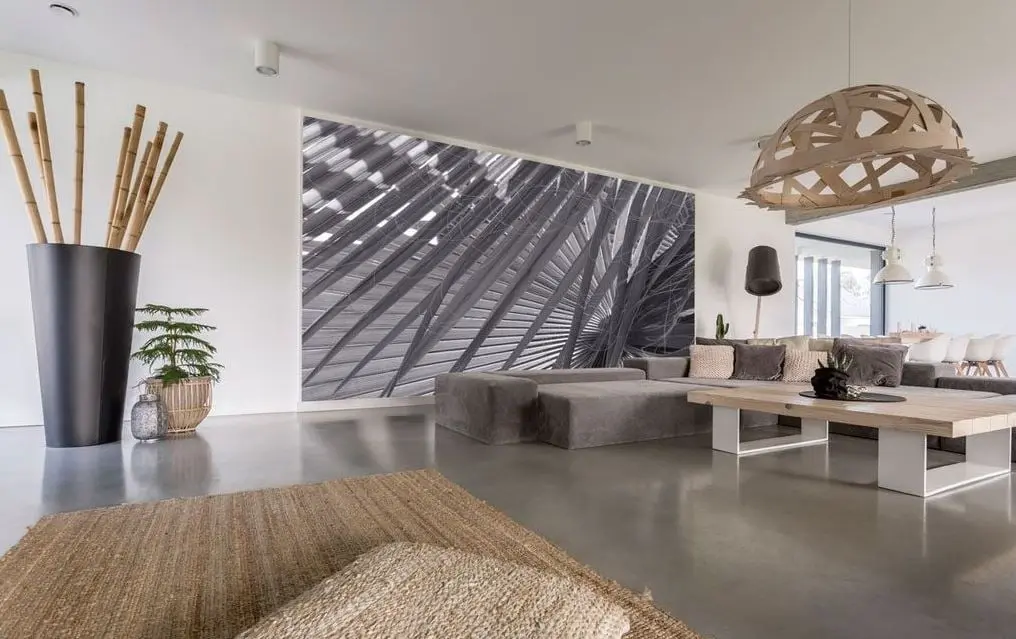 Todos saben que esta planta atrae la buena fortuna; debes ponerlo cerca de la sala para activar las finanzas.