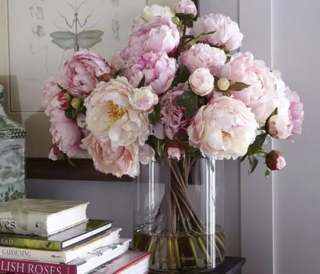 ¿Tienes alguna otra planta en casa?