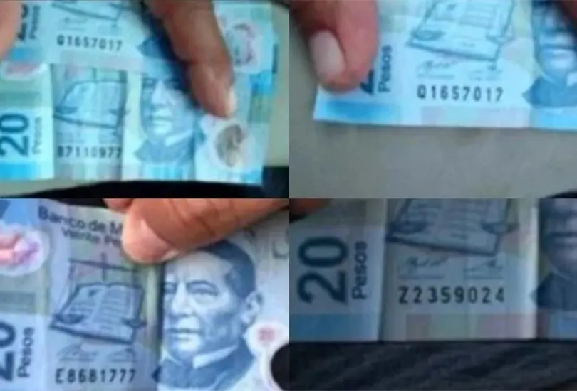 Los billetes de 20 pesos ten&iacute;an las claves para la distribuci&oacute;n y venta de drogas Cr&eacute;ditos: Especial 