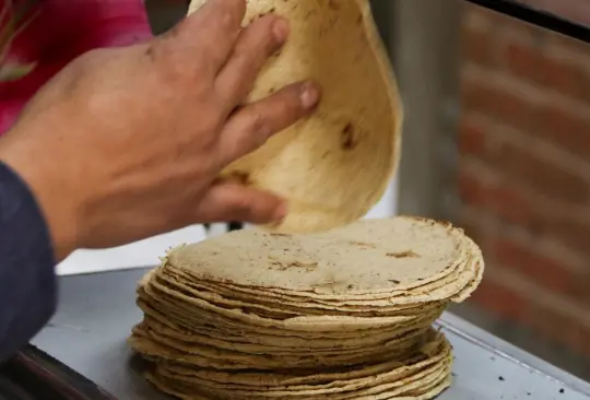 El kilo de tortillas según Profeco