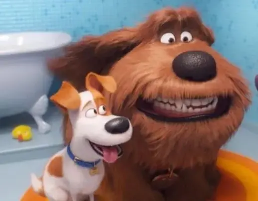 La vida secreta de tus mascotas | Agosto 14 