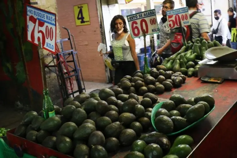 El aguacate se cotiza desde los 50 hasta los 130 pesos. Foto: Cuartoscuro.