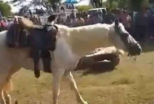 EL jinete murió tras el choque de los caballos. 
