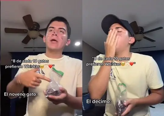 Chico encarnando a los gatos que NO prefieren Whiskas
