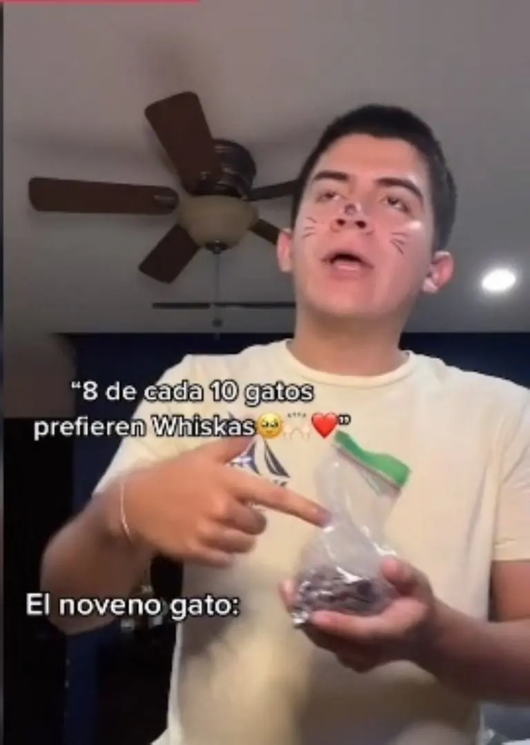 Aram interpretando a un gato