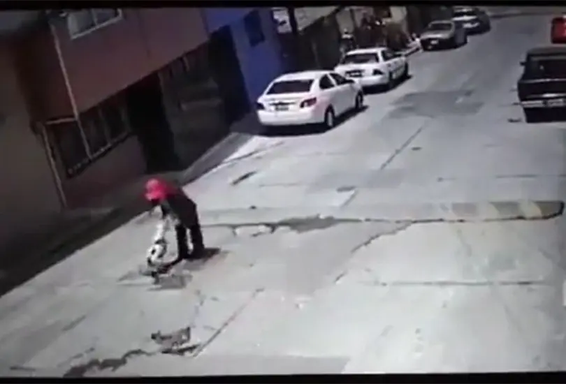 El pitbull tiró al suelo a la abuelita, en donde comenzó a morderla en diversas partes del cuerpo, hasta que llegó un hombre a defenderla del animal El pitbull tiró al suelo a la abuelita, en donde comenzó a morderla en diversas partes del cuerpo, hasta que llegó un hombre a defenderla del animal