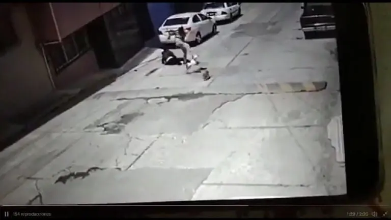 El perro mordió a la señora en diversas partes del cuerpo - Tomada de video
