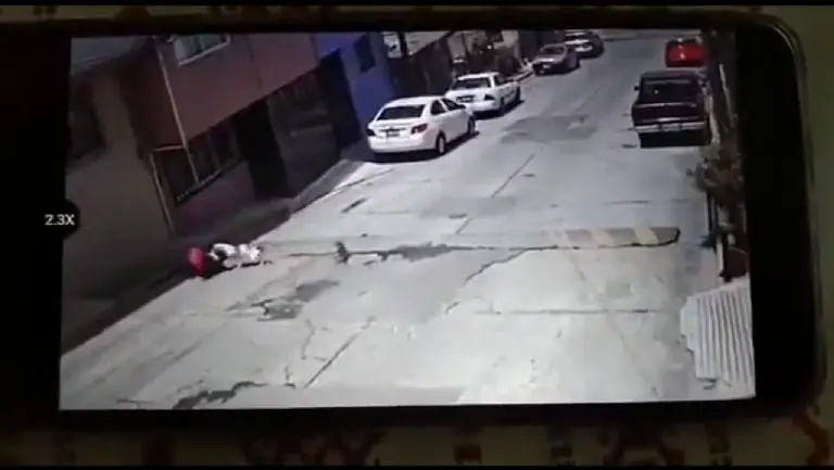 Pitbull ataca a abuelita - Tomada de video