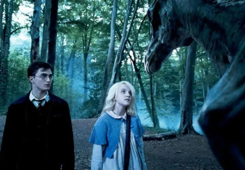 Evanna Lynch fue elegida entre 15 mil chicas que fueron a audicionar por el papel de Luna Lovegood.