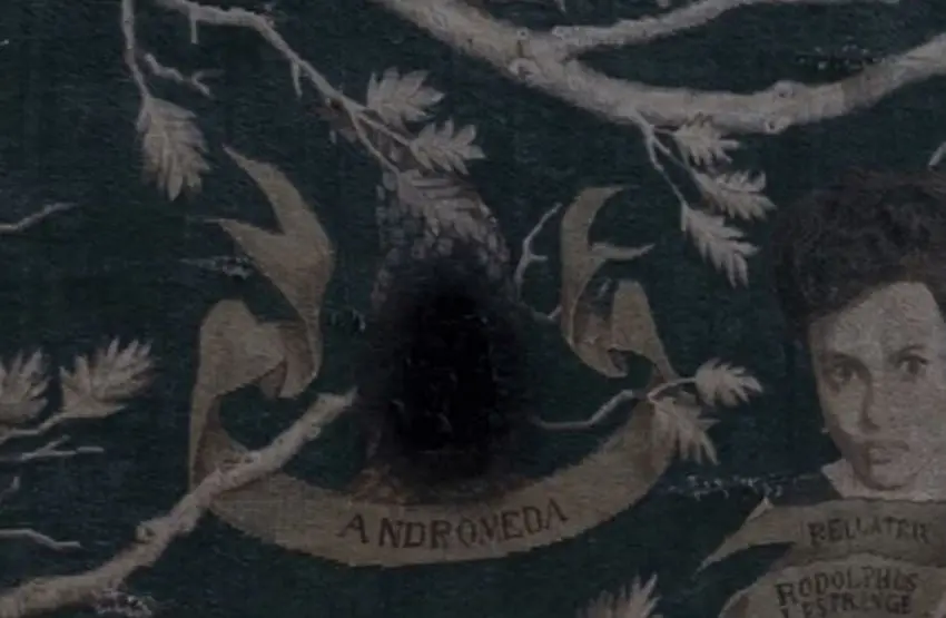 J.K. Rowling se implic&oacute; en el &aacute;rbol geneal&oacute;gico de los Black, dando detalles sobre la relaci&oacute;n que ten&iacute;a cada miembro.