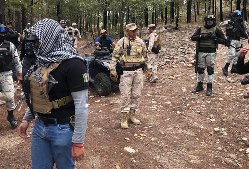 B&uacute;sque de los hermanos Berrelleza en la Sierra Tarahumara.