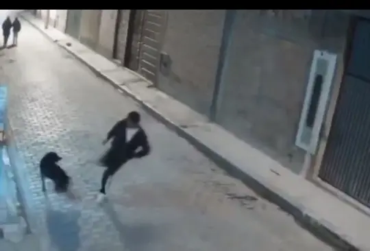 El hombre intentó patear al perrito, pero se cayó. El hombre intentó patear al perrito, pero se cayó.