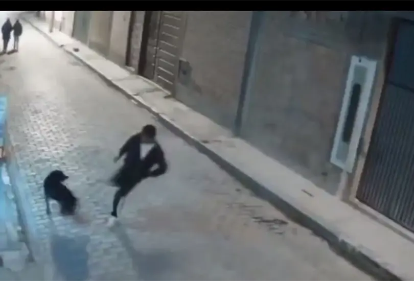 El hombre intentó patear al perrito, pero se cayó. El hombre intentó patear al perrito, pero se cayó.