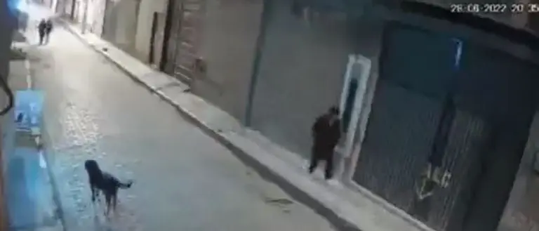 El sujeto iba caminando por la calle cuando vio al perro. Foto: captura de pantalla.