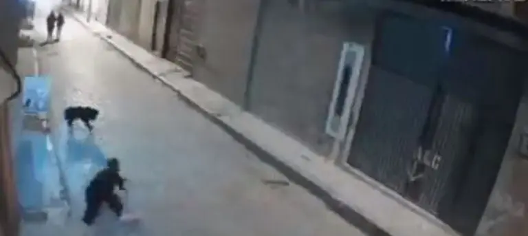 Tras la patada, el sujeto cayó al piso. Foto: captura de pantalla.