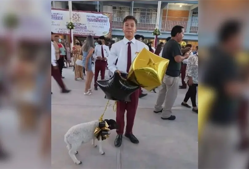 Estudiante recibe borregiuto como regalo de graduaci&oacute;n. 