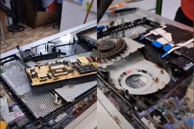 Plaga de cucarachas dentro de la consola