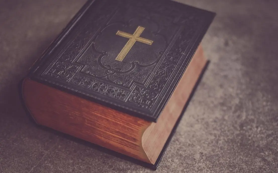  5. Importación de artículos