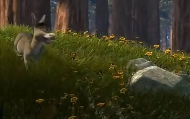 "Oh que linda piedra, un detalle soberbio".